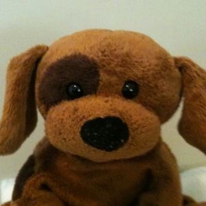 Meet your Posher, Ella